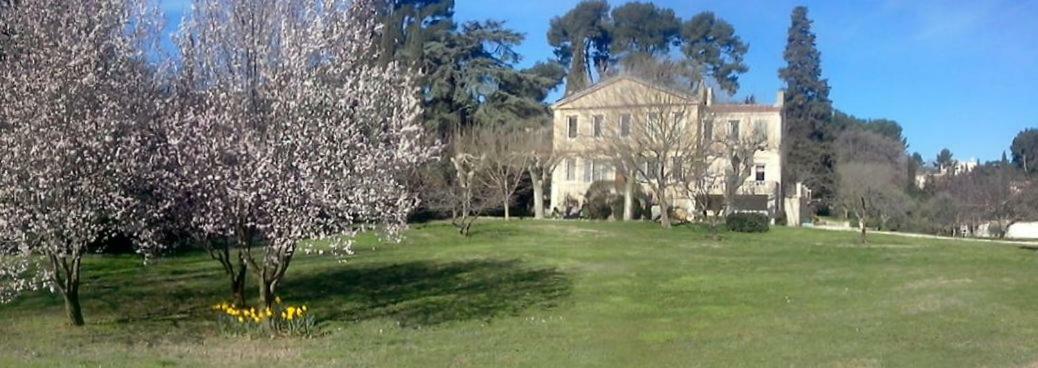 La Royante Bed & Breakfast Aubagne Eksteriør bilde